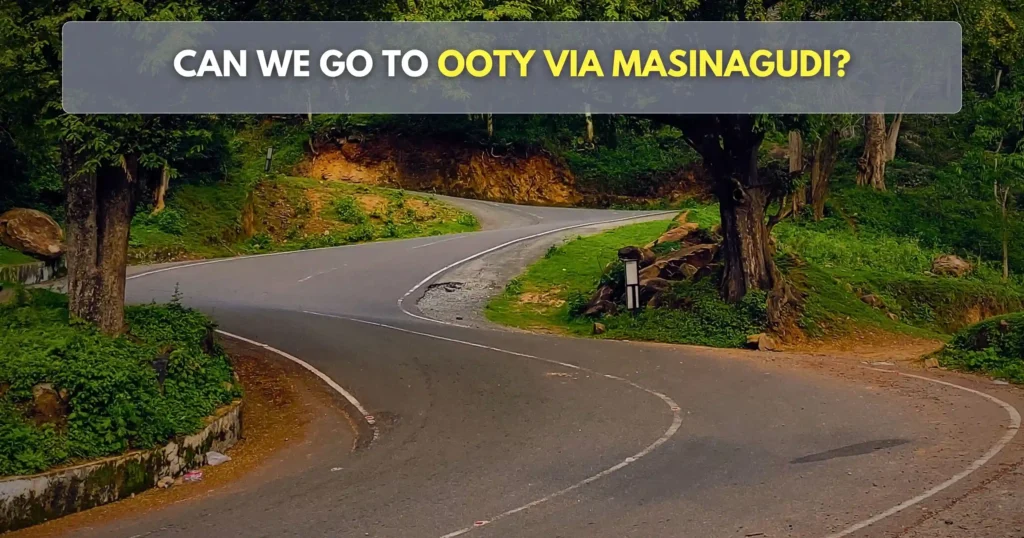 Masinagudi to Ooty