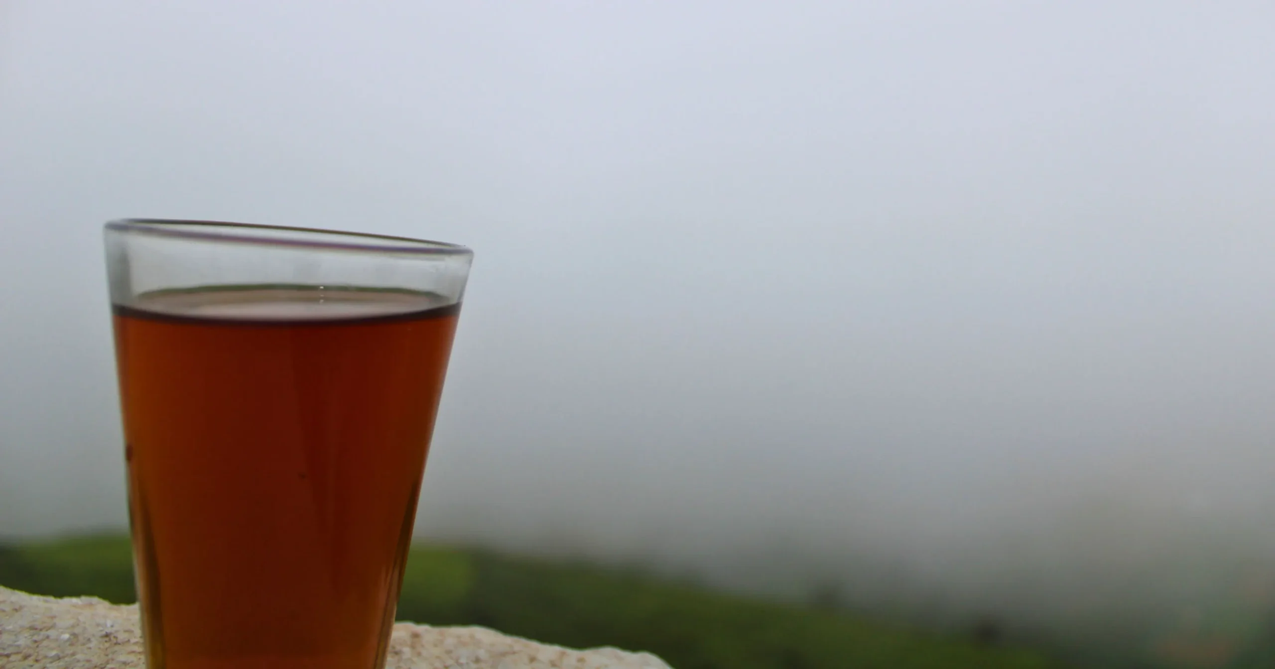 Tea at Palada Village