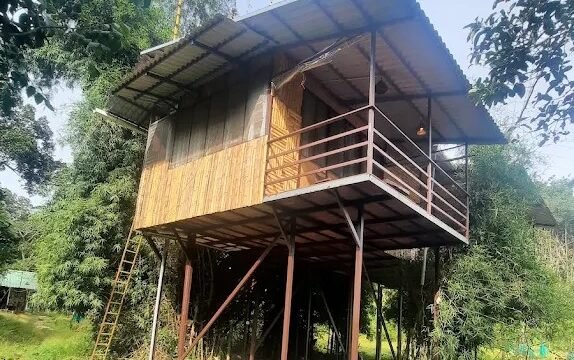 deep jungle home