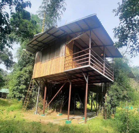 deep jungle home