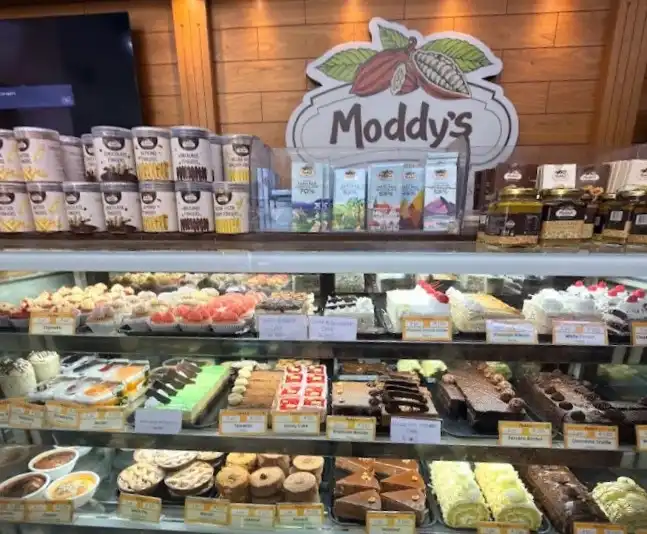 Modern Stores & Moddys Chocolates Ooty